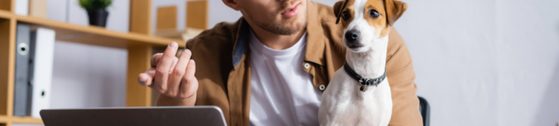 Pawsitive Perks: Why Pet Insurance is the Latest  Must-Have Employee Benefit Article Image