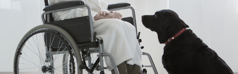 Making Sense of Taxability in Long-Term Disability Plans Article Image