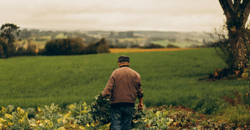 Why Rural Employers Struggle to Offer Competitive Benefits and How Brokers Can Help Article Image